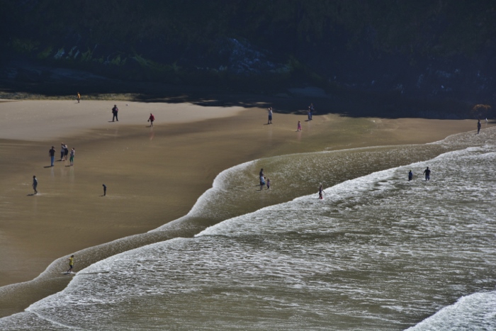 Heceta Head beach